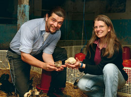 Zulieferer Brunnenhof